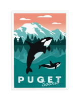 Lantern Press Puget Sound Orca Whale Magnet