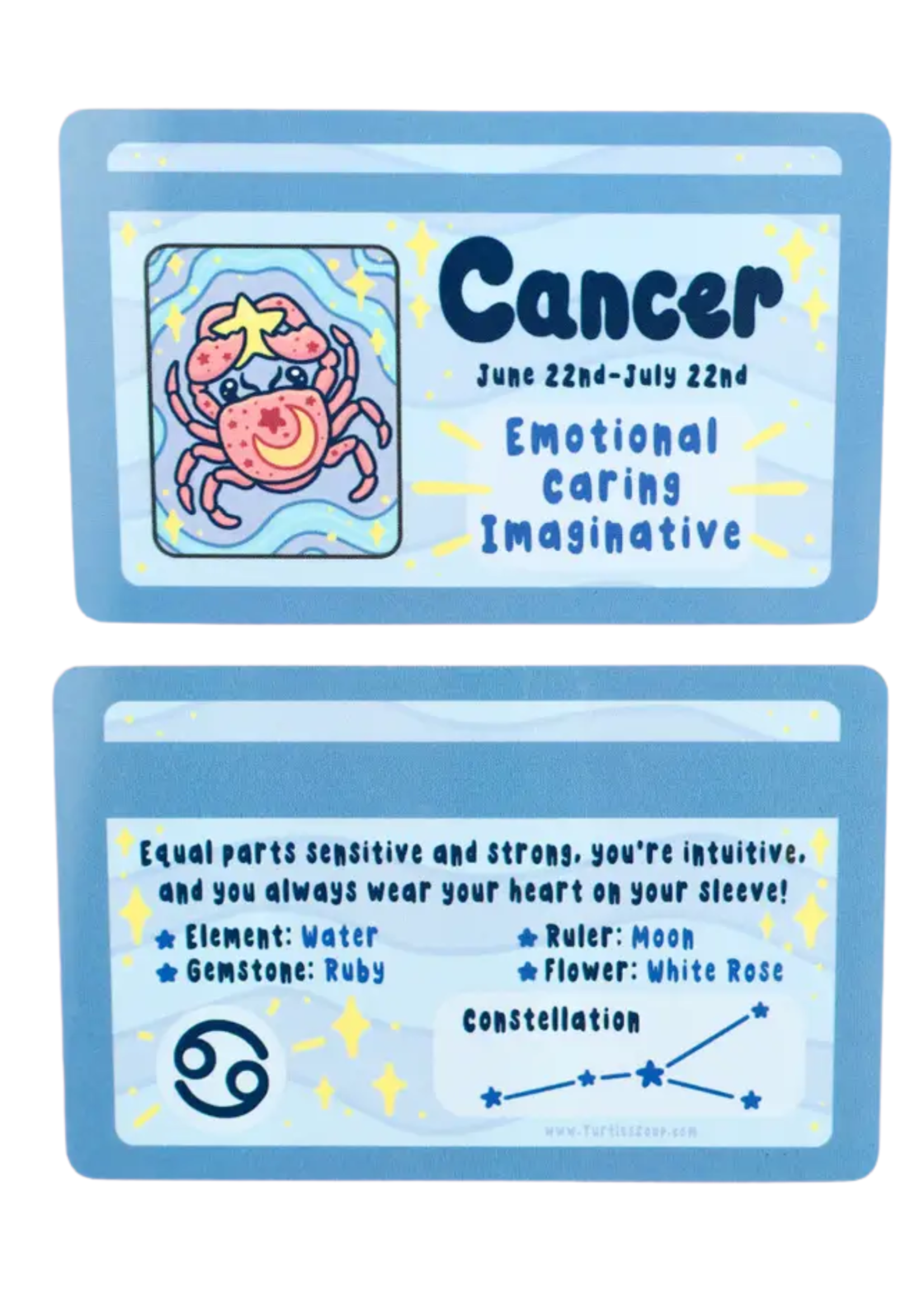Turtle's Soup Turtle's Soup Zodiac Fake IDs