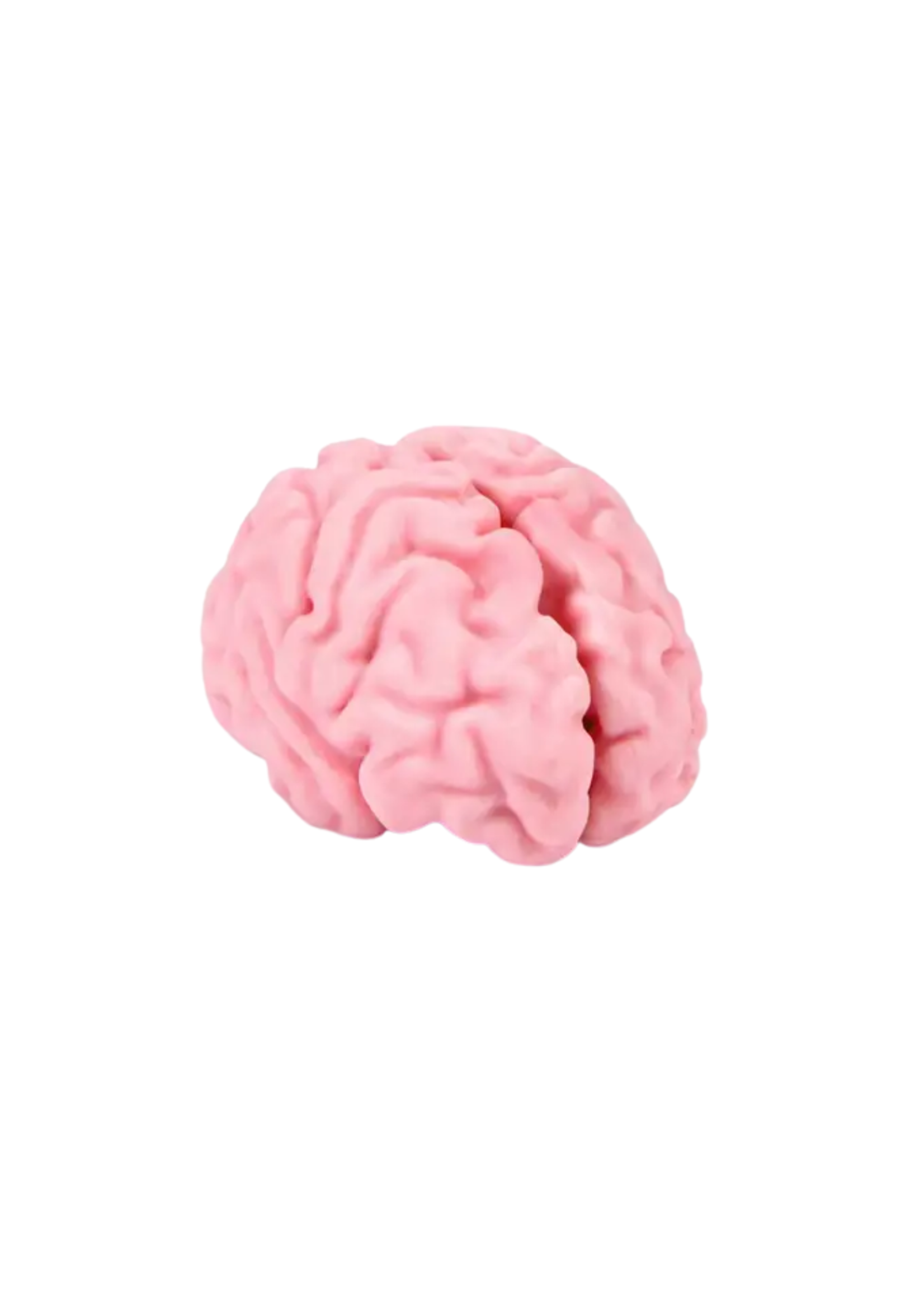 Fred Think Again Brain Eraser