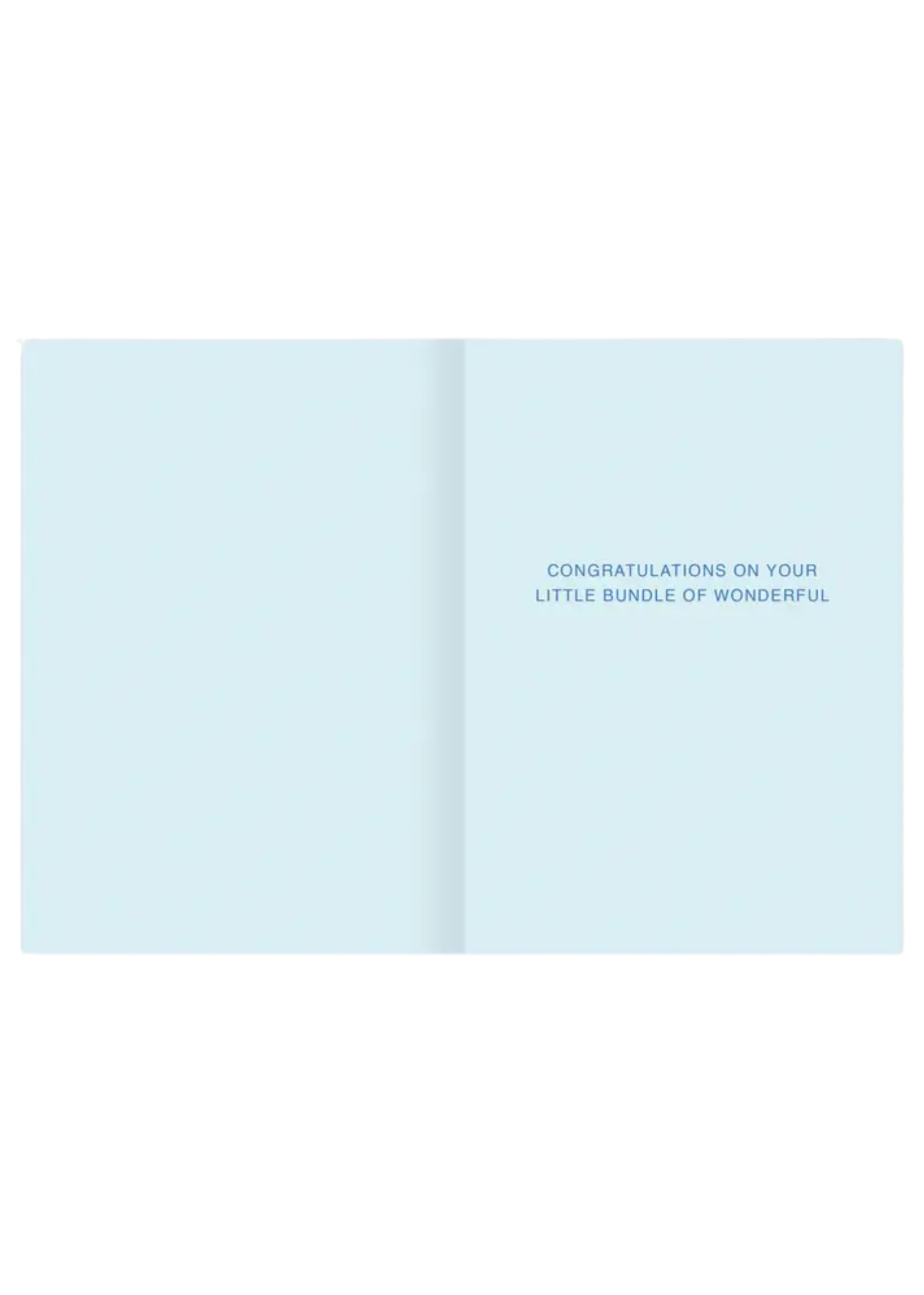 Biely + Shoaf Baby Card - Sweet Baby Boy