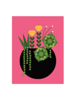 Amber Leaders Local Artist Card - Pink Succulent