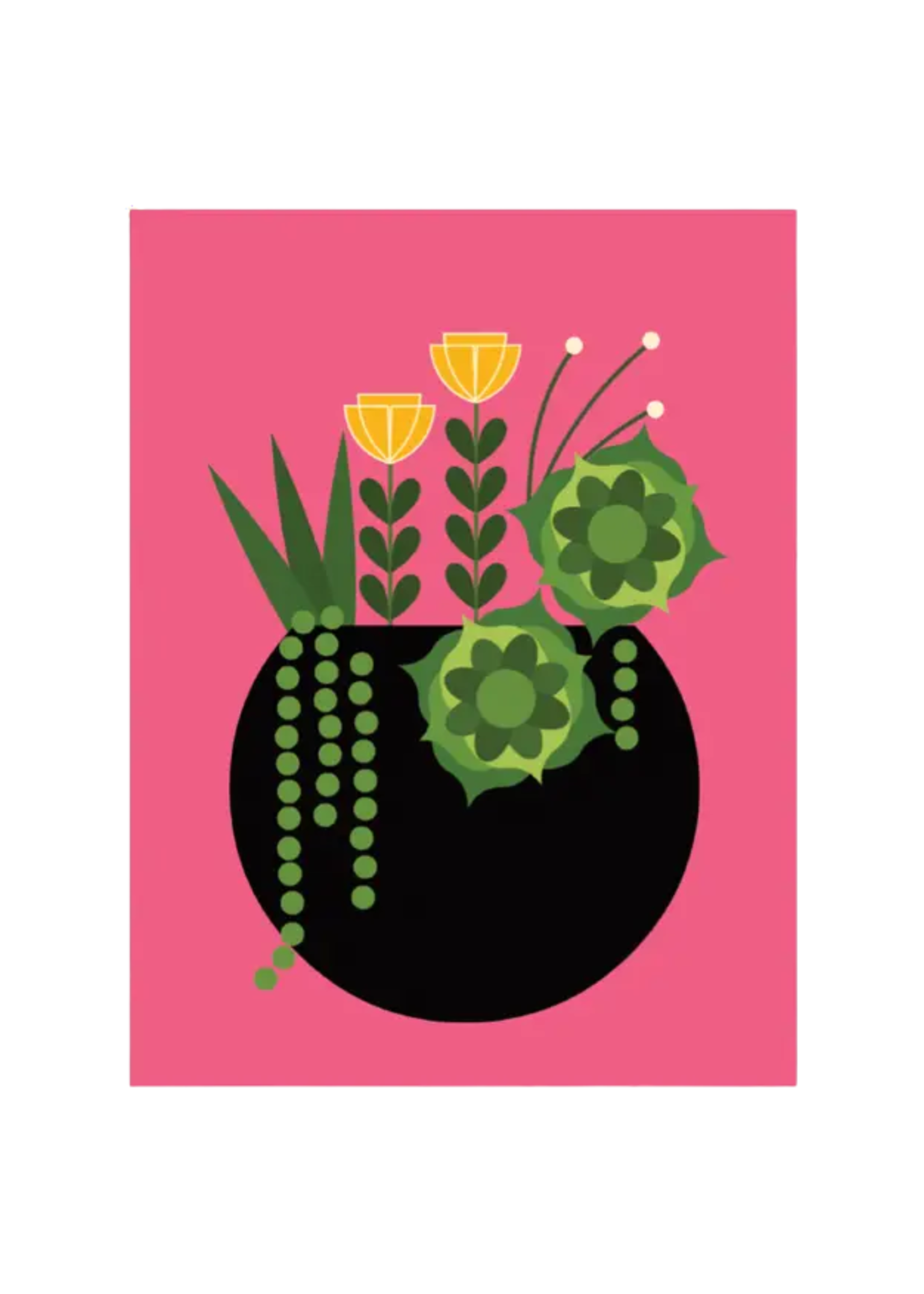 Amber Leaders Local Artist Card - Pink Succulent