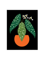 Amber Leaders Local Artist Card - Polka Dot Begonia