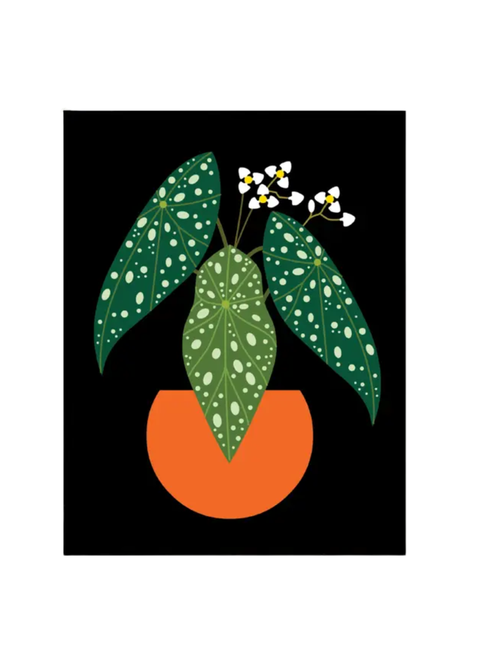 Amber Leaders Local Artist Card - Polka Dot Begonia
