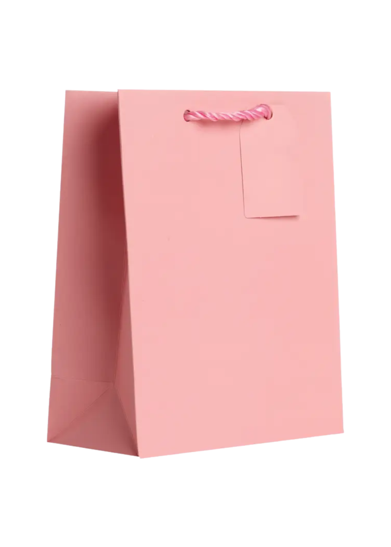 Jillson & Roberts Pastel Pink Gift Bag
