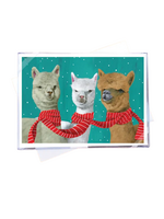 Allport Editions Holiday Boxed Notes - Llamas