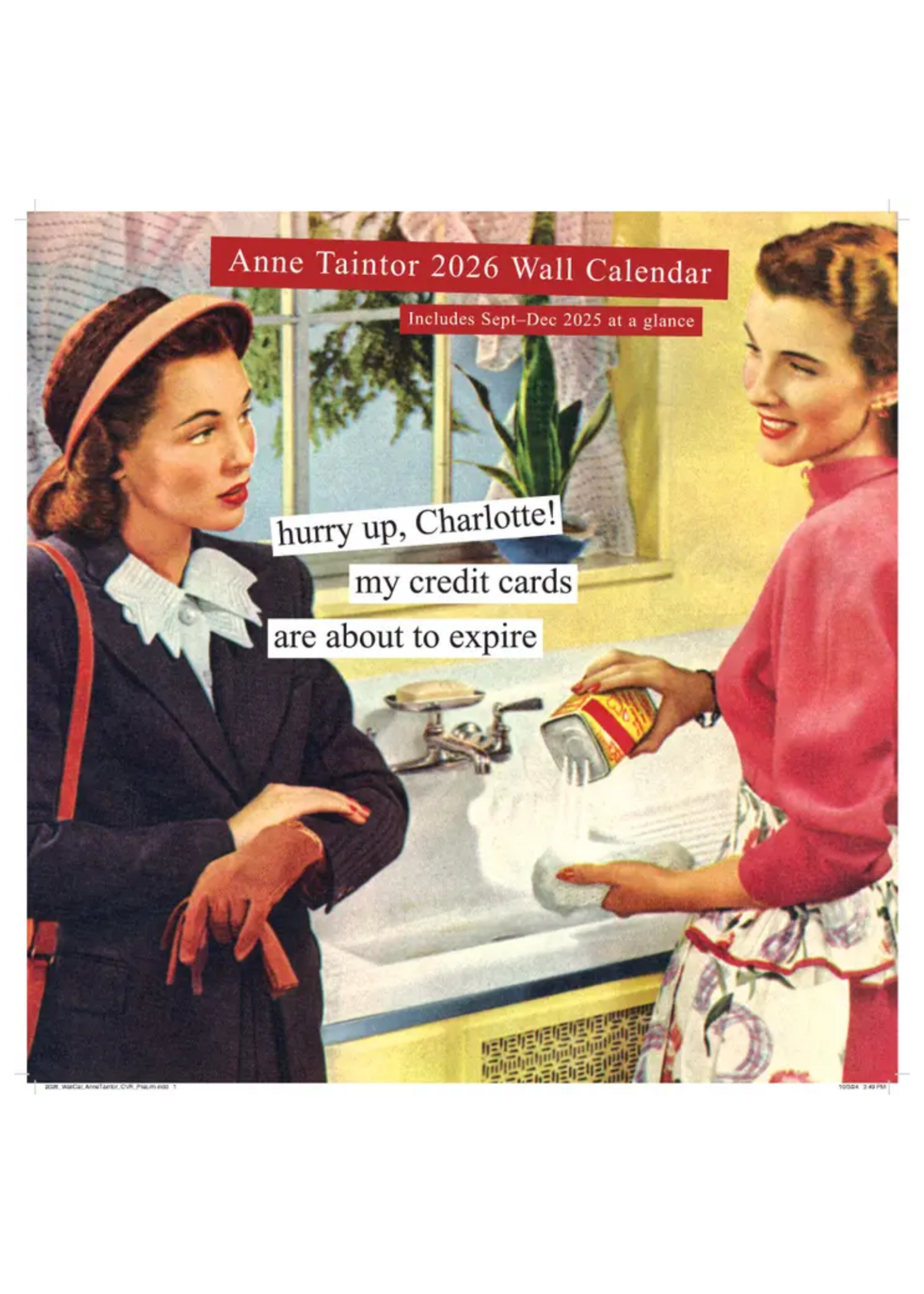 Chronicle Books Anne Taintor 2026 Wall Calendar