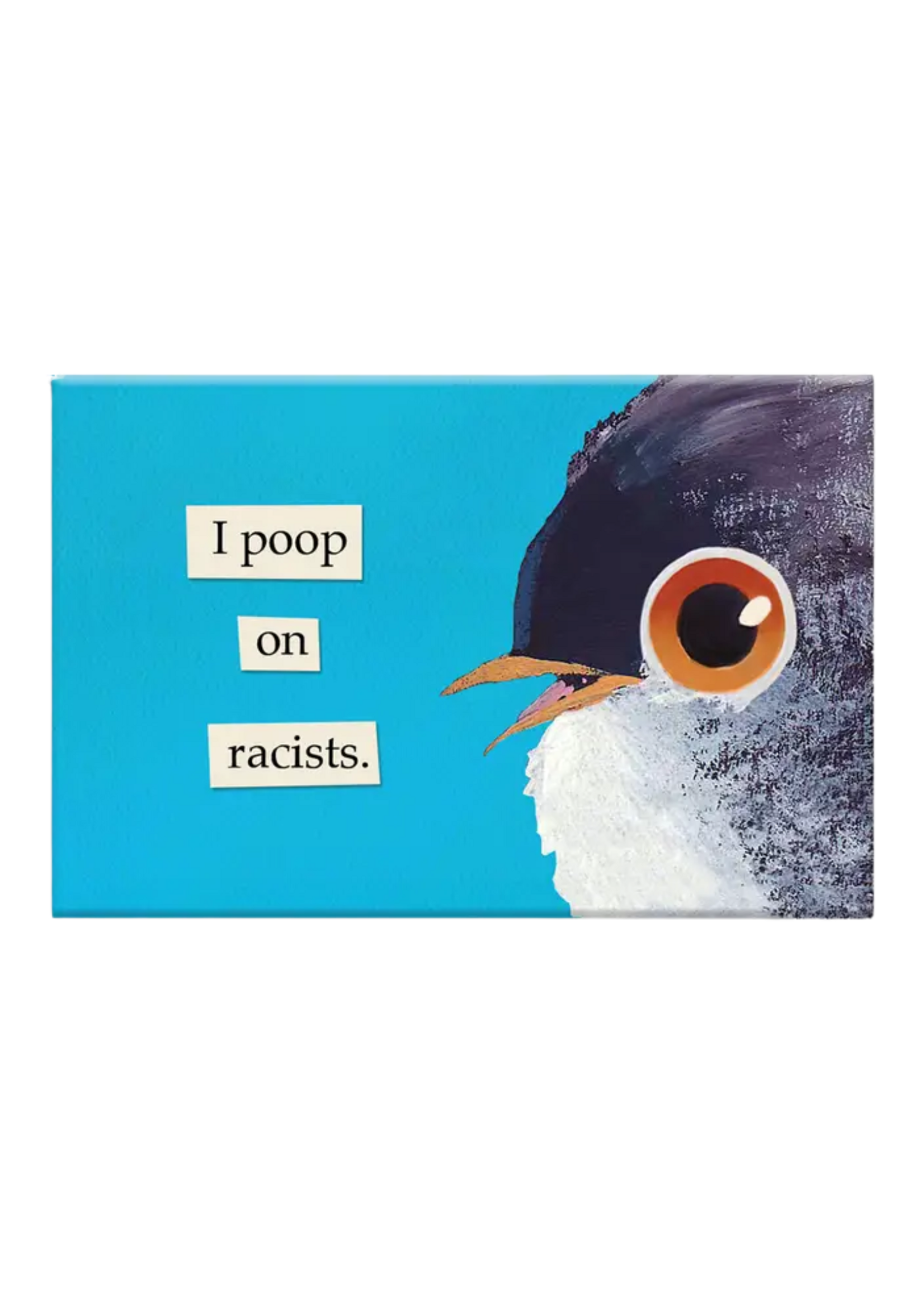 Mincing Mockingbird I Poop on Racists Magnet