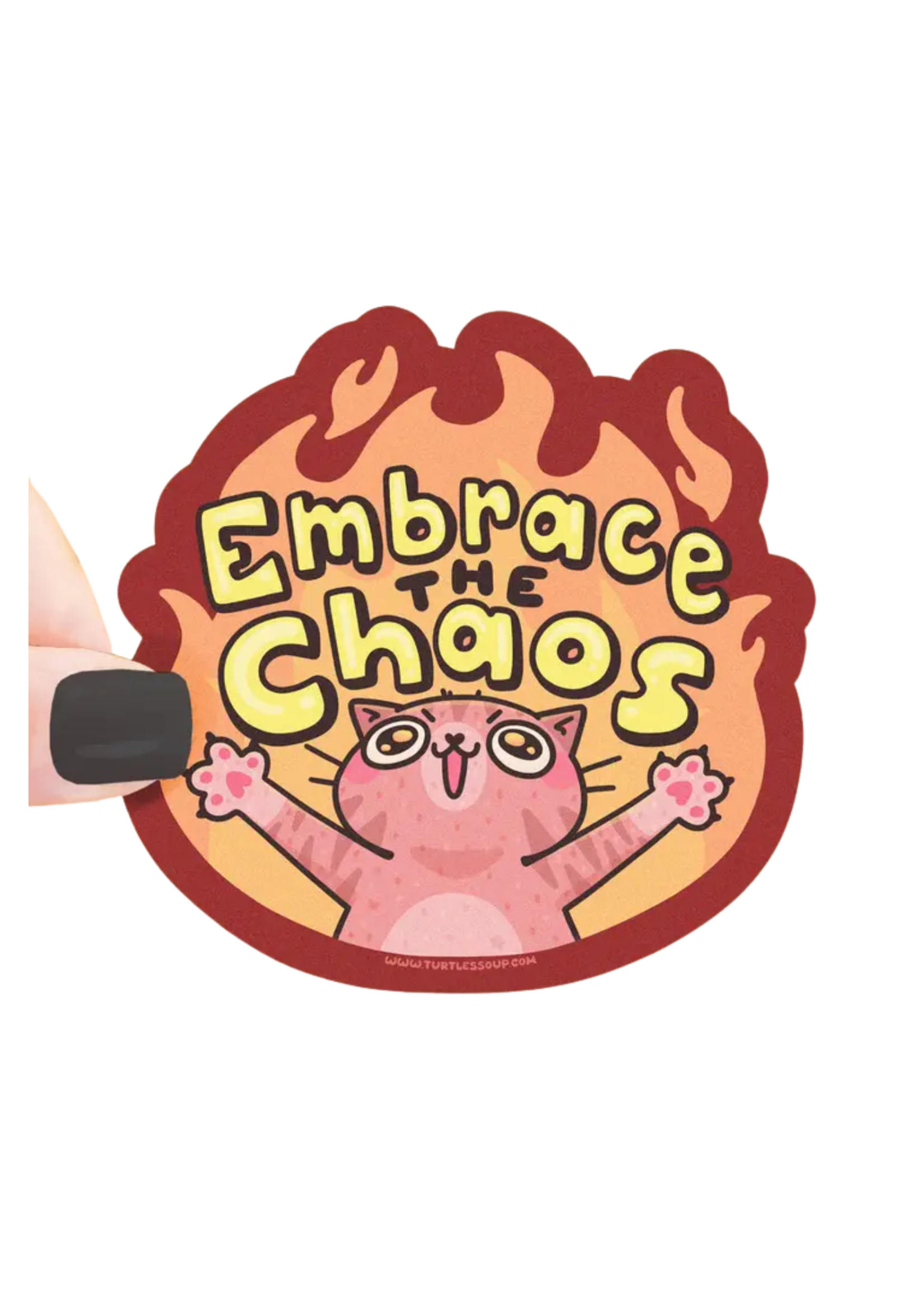 Turtle's Soup Embrace The Chaos Sticker