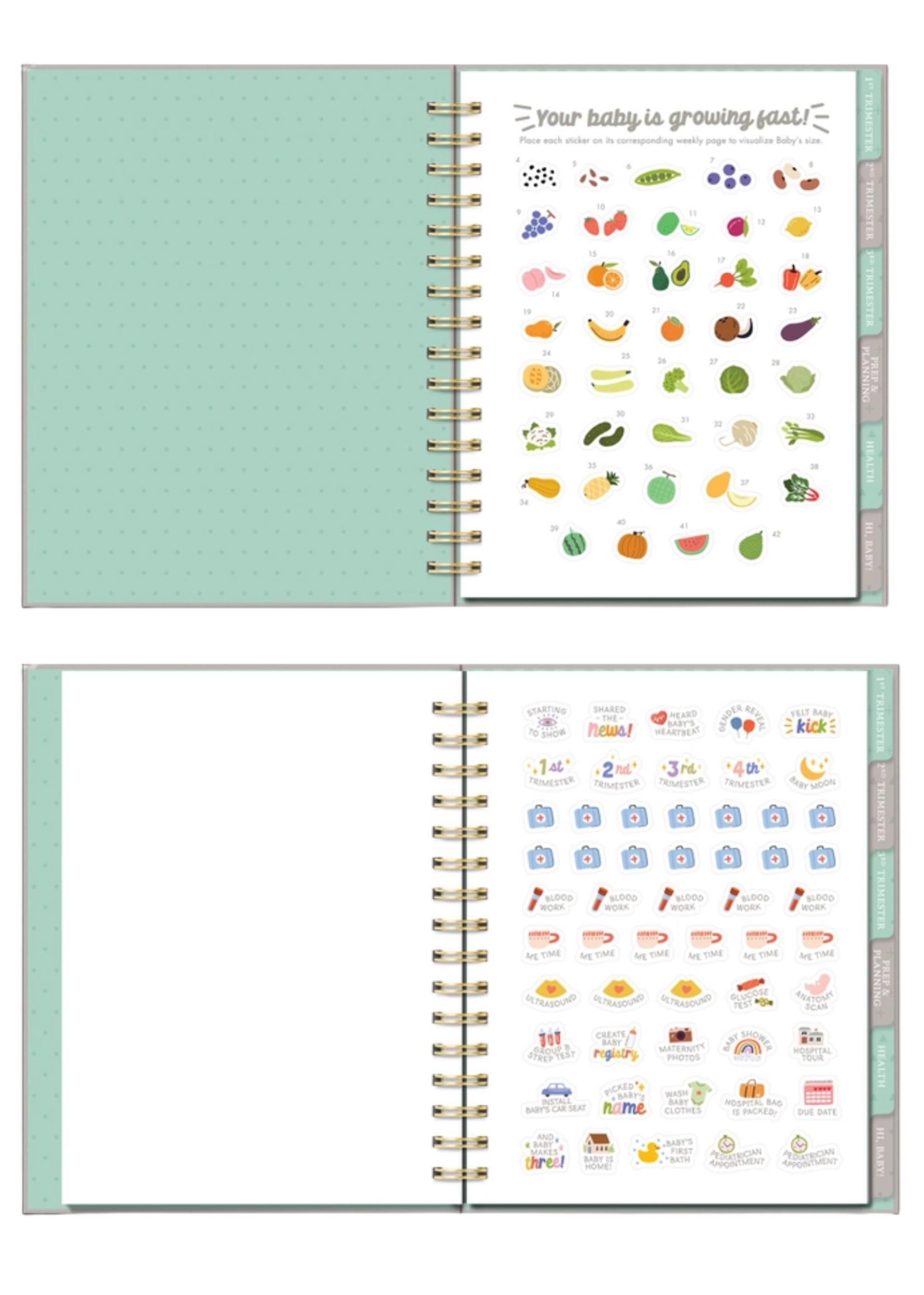 Studio Oh! / Orange Circle Studio Countdown To Baby Planner