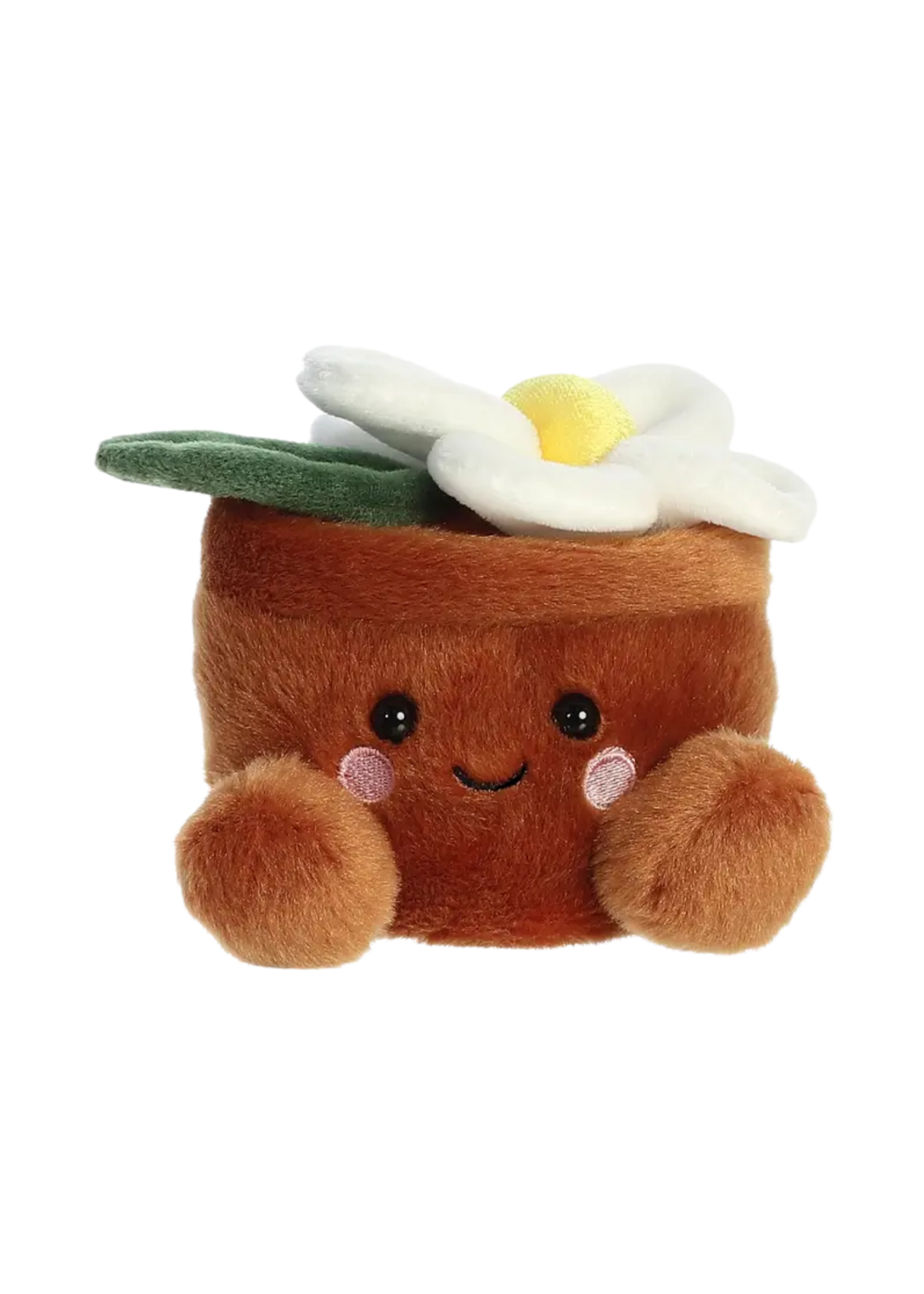 Kelley and Company Palm Pals