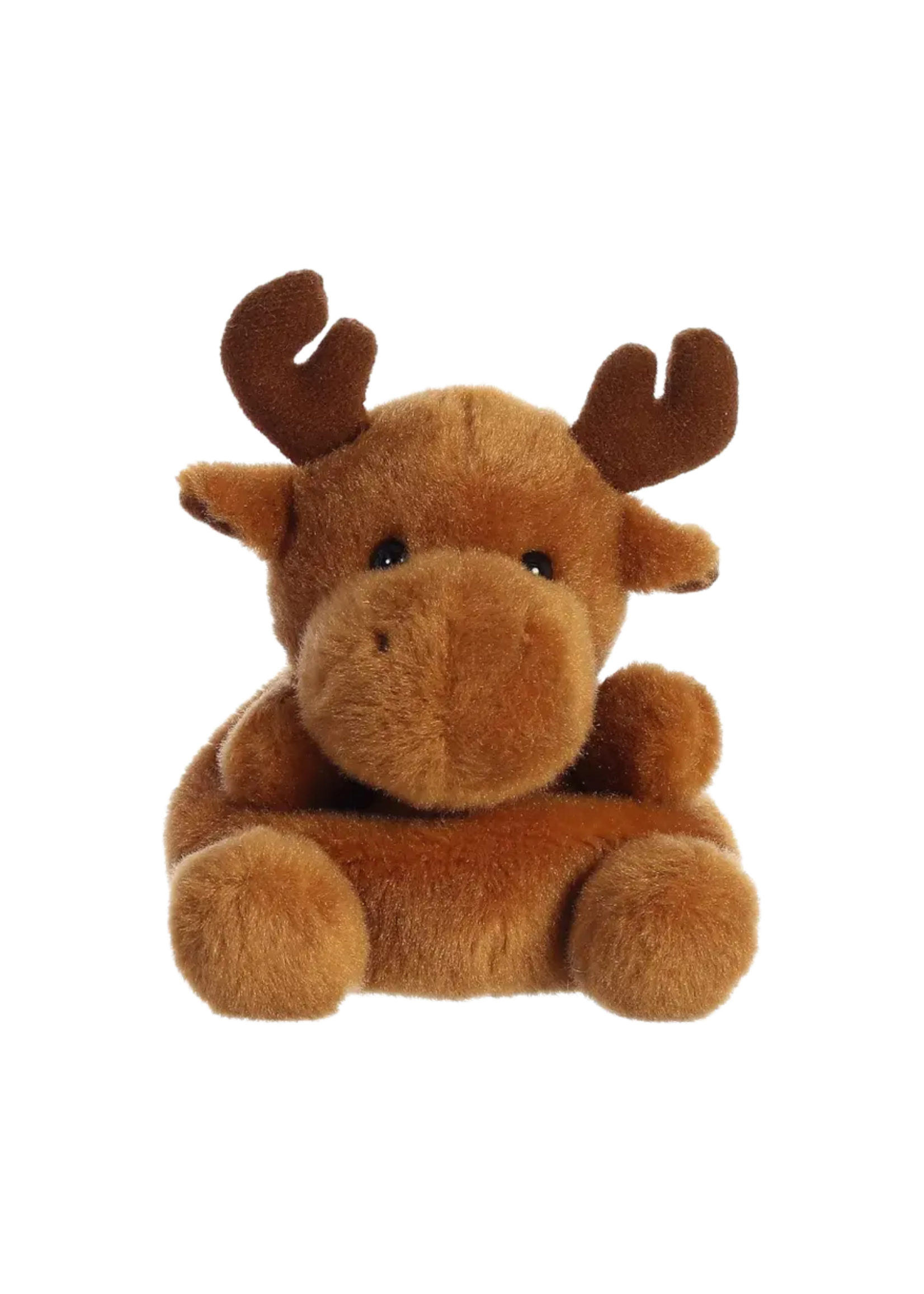 Kelley and Company Palm Pals