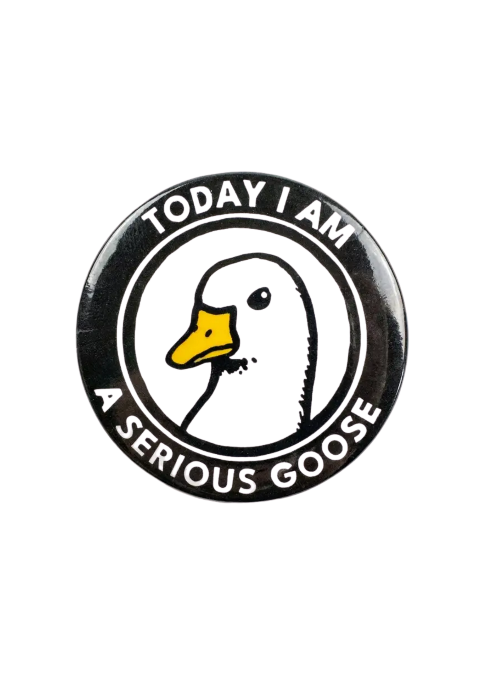 Strike Gently Co Serious Goose Enamel Pin