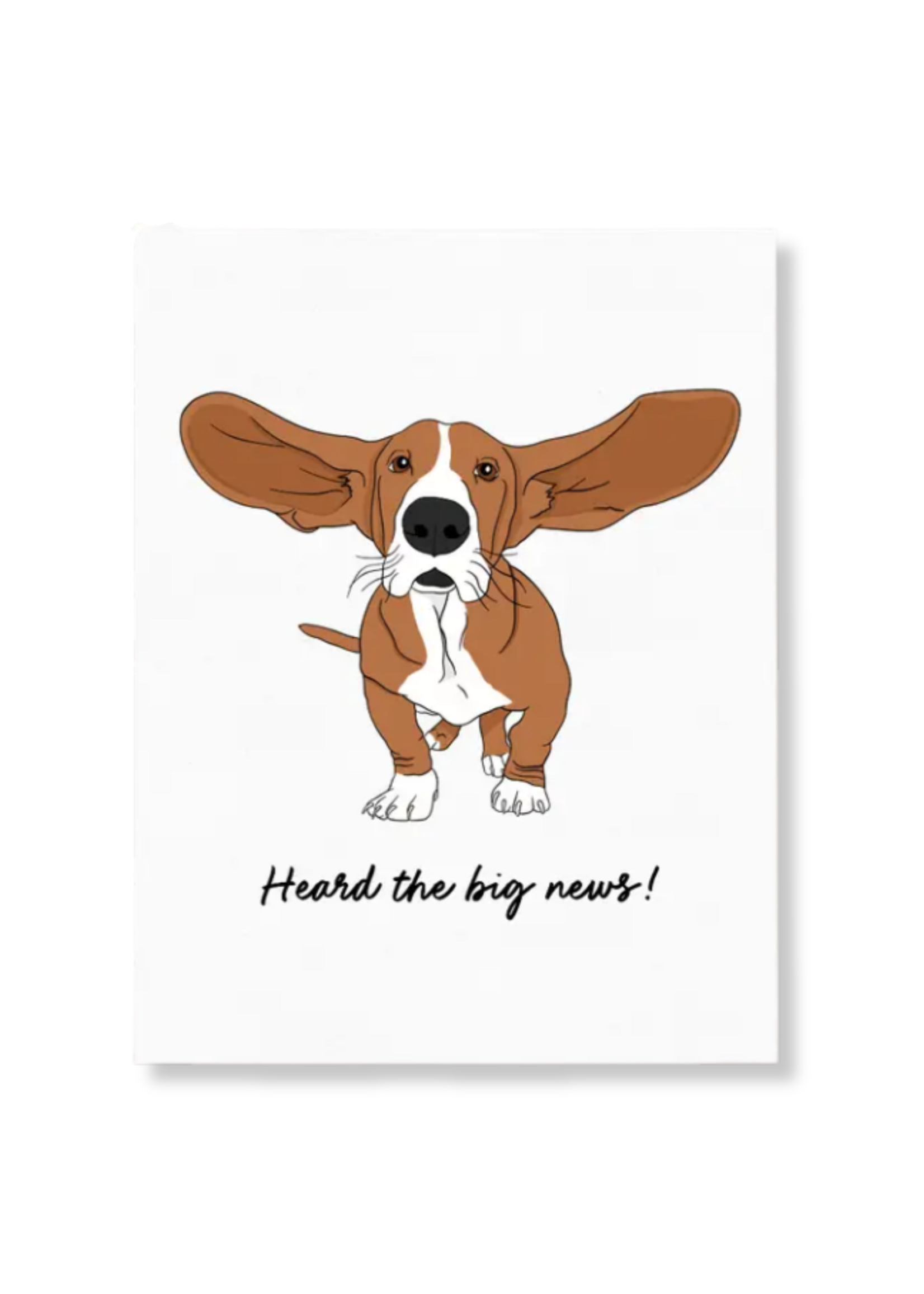 Sammy Gorin Congratulations Card - Heard The Big News Basset Hound