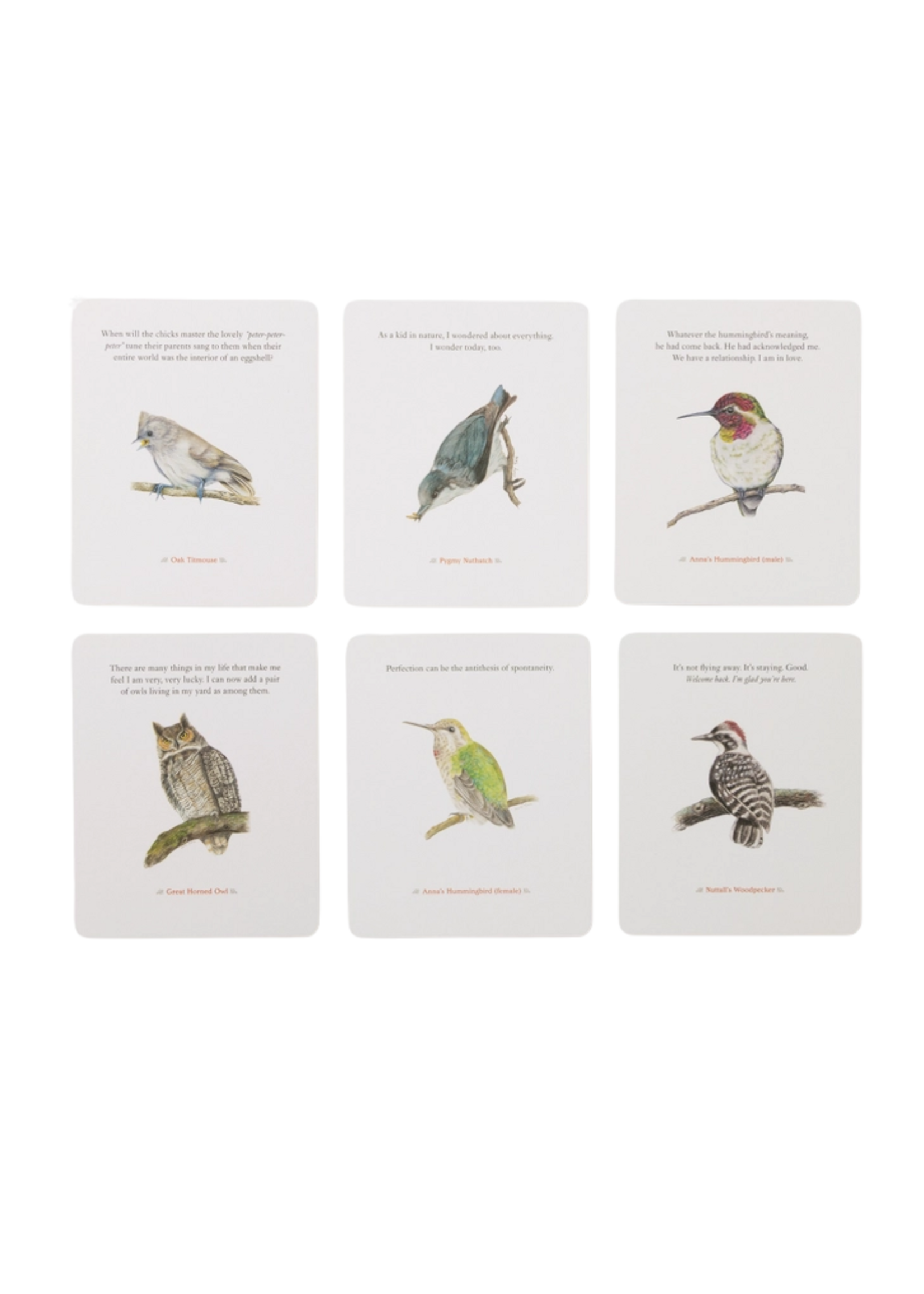 Penguin Random House Backyard Bird Deck