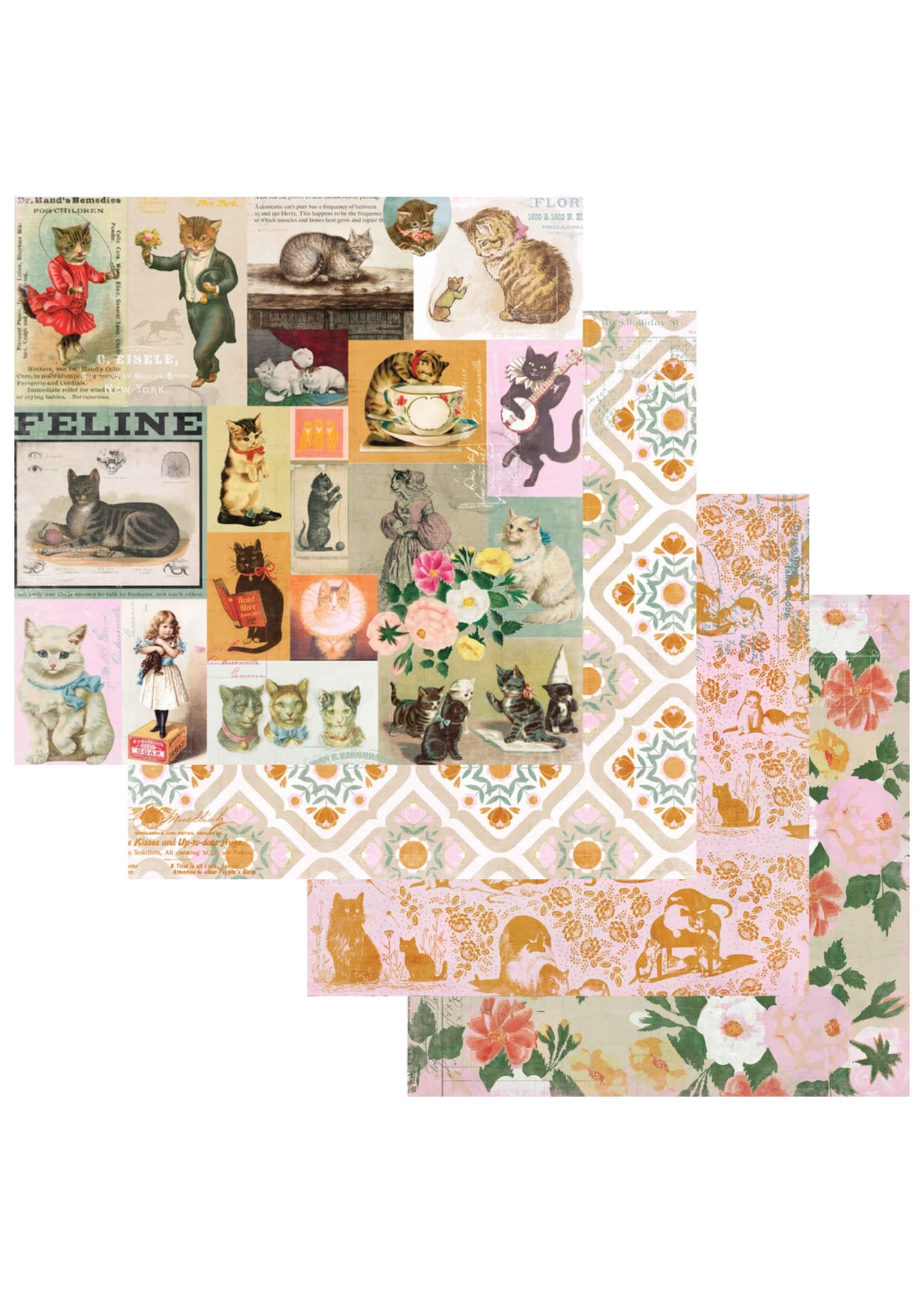 Fancy Pants Designs Spot and Oliver Scrapbook Kit
