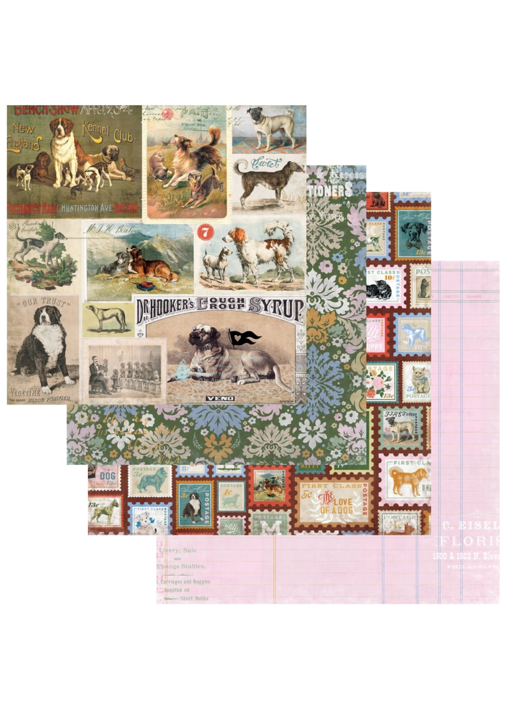 Fancy Pants Designs Spot and Oliver Scrapbook Kit
