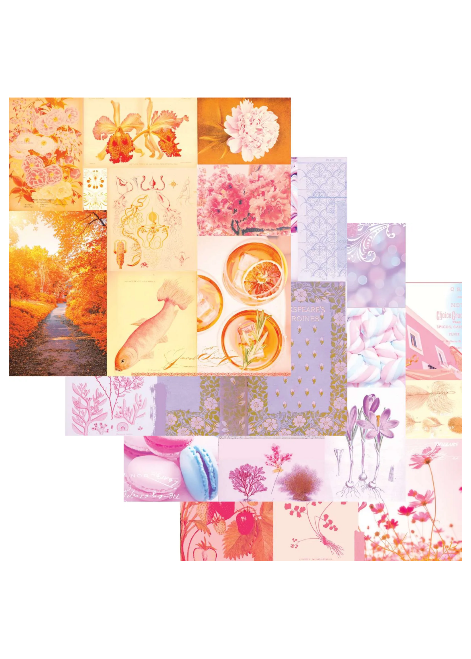 Fancy Pants Designs Everly Lane Scrapbook Kit