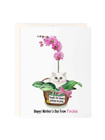Liyana Studio Mother's Day - From Y'orchid