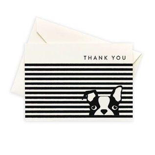 Seltzer Dog Stripe Thank You Notes