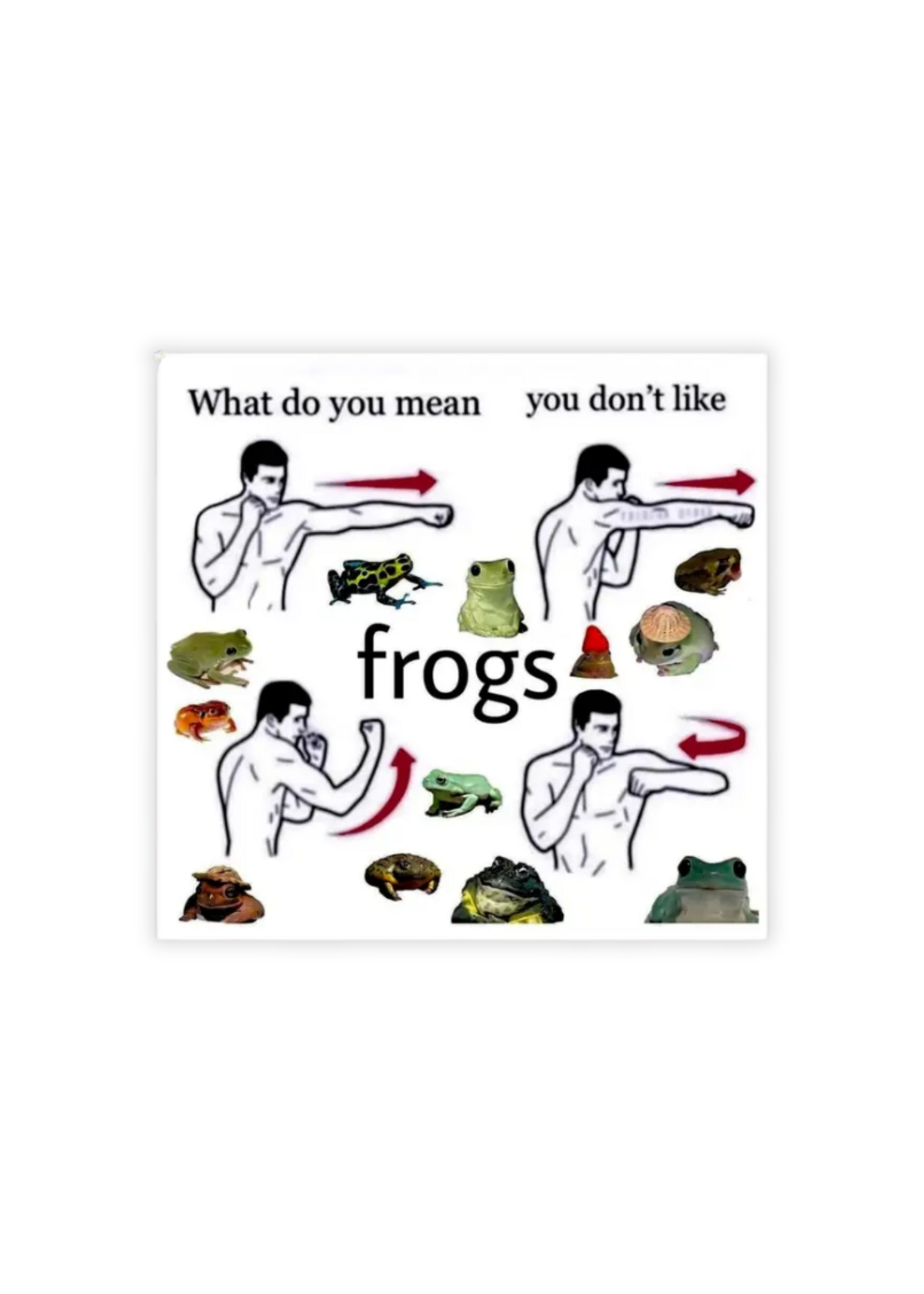 Sticker Bull What Do You Mean You Don't Like Frogs Sticker