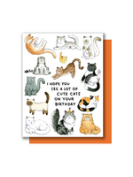 Paper Wilderness Birthday Card - I Hope You See A Lot of Cute Cats