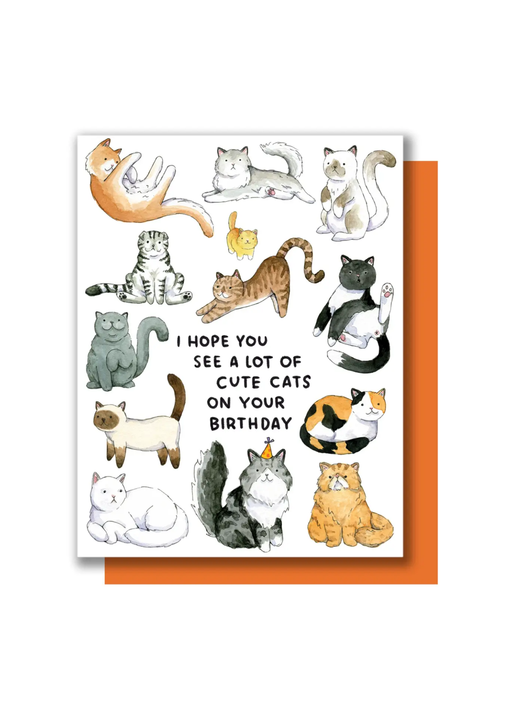 Paper Wilderness Birthday Card - I Hope You See A Lot of Cute Cats
