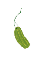 And Here We Are Pickle Air Freshener