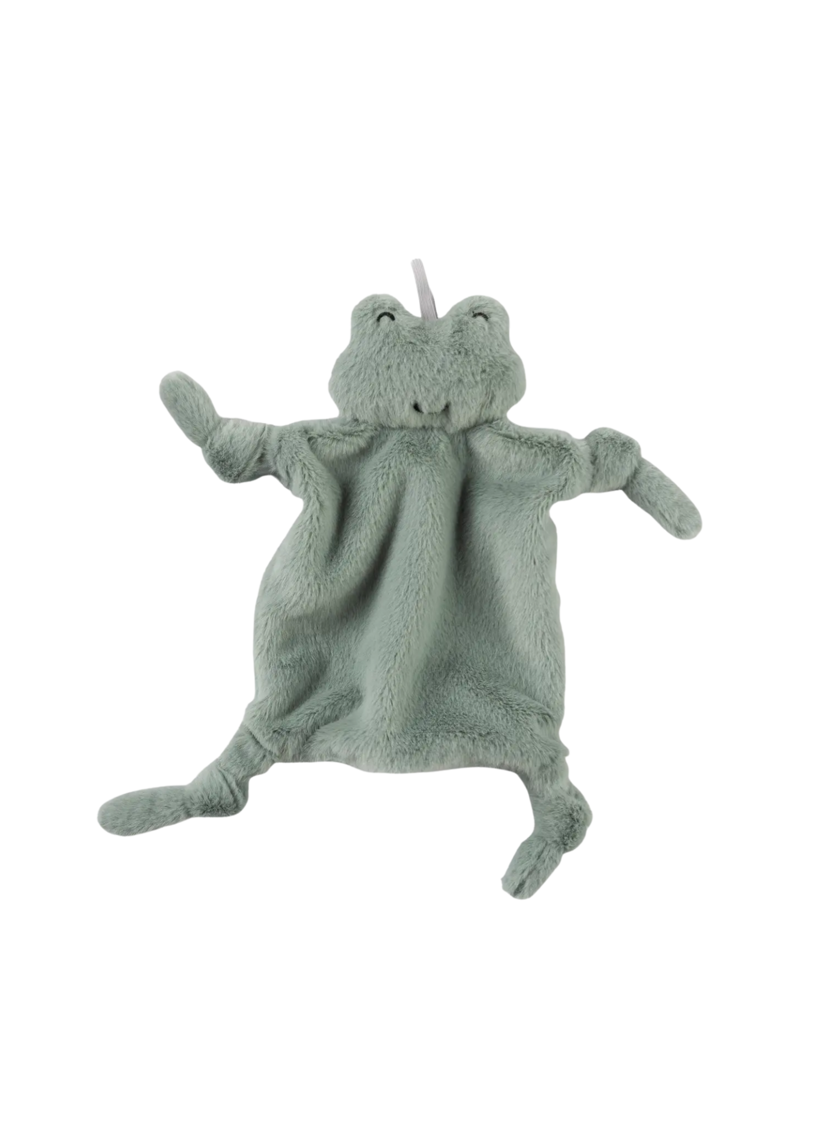 Bella Tunno  Frog Pacifier Buddy