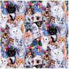 CP - Animal Love / Kittens & Flowers / Digital Print /