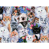 CP - Animal Love / Kittens & Flowers / Digital Print /