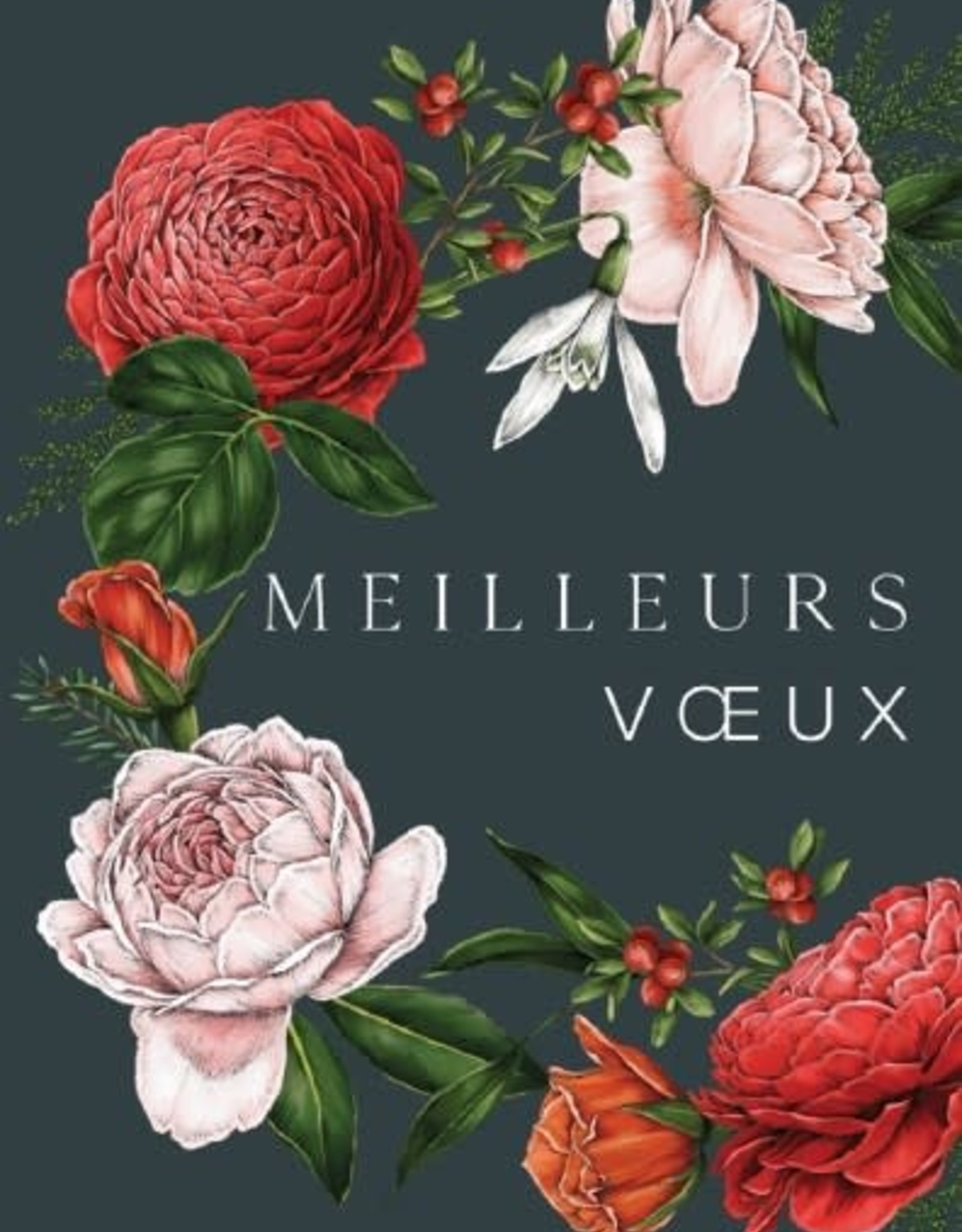 "Meilleurs Voeux" (Best Wishes) Greeting Card! Made in France