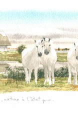 La Camargue Greeting Card - 8 1/4 x 4 1/4