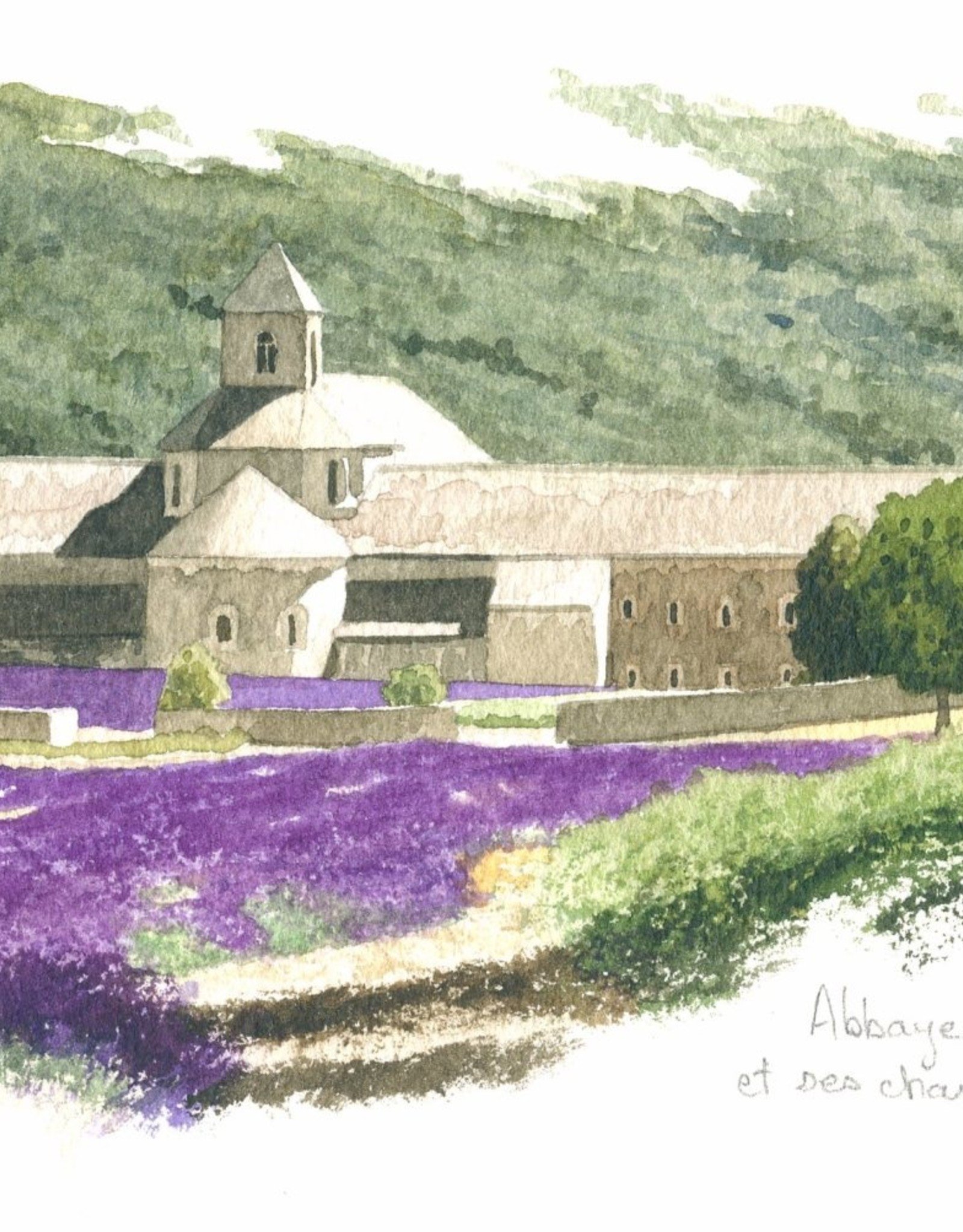 Abbaye de Senanque Greeting Card - 8 1/4" x 4 1/4"