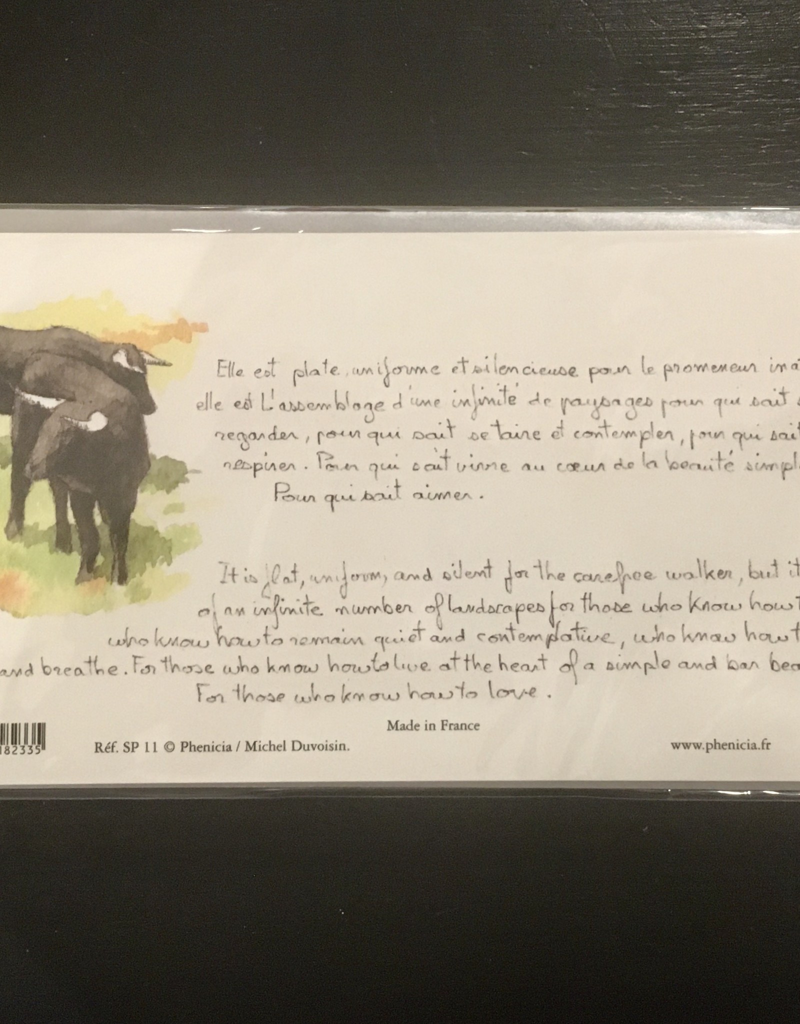 La Camargue Greeting Card - 8 1/4 x 4 1/4