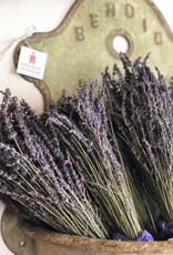 French Lavender Bunch