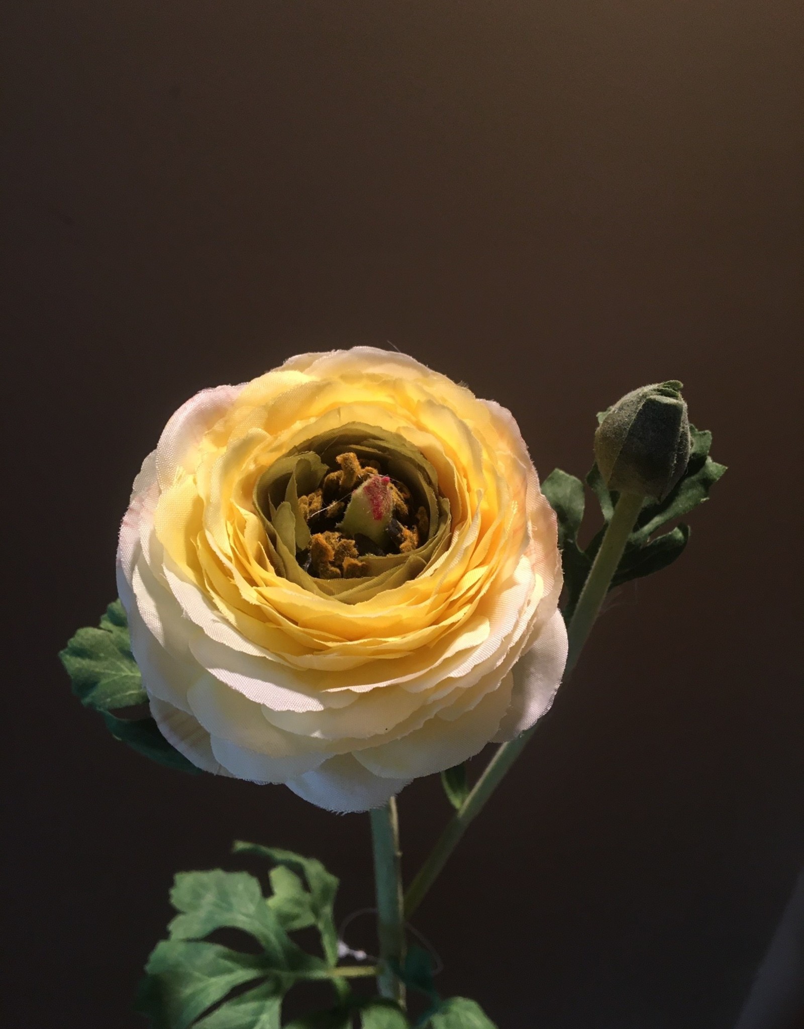 Ranunculus Stem - Yellow - 27"