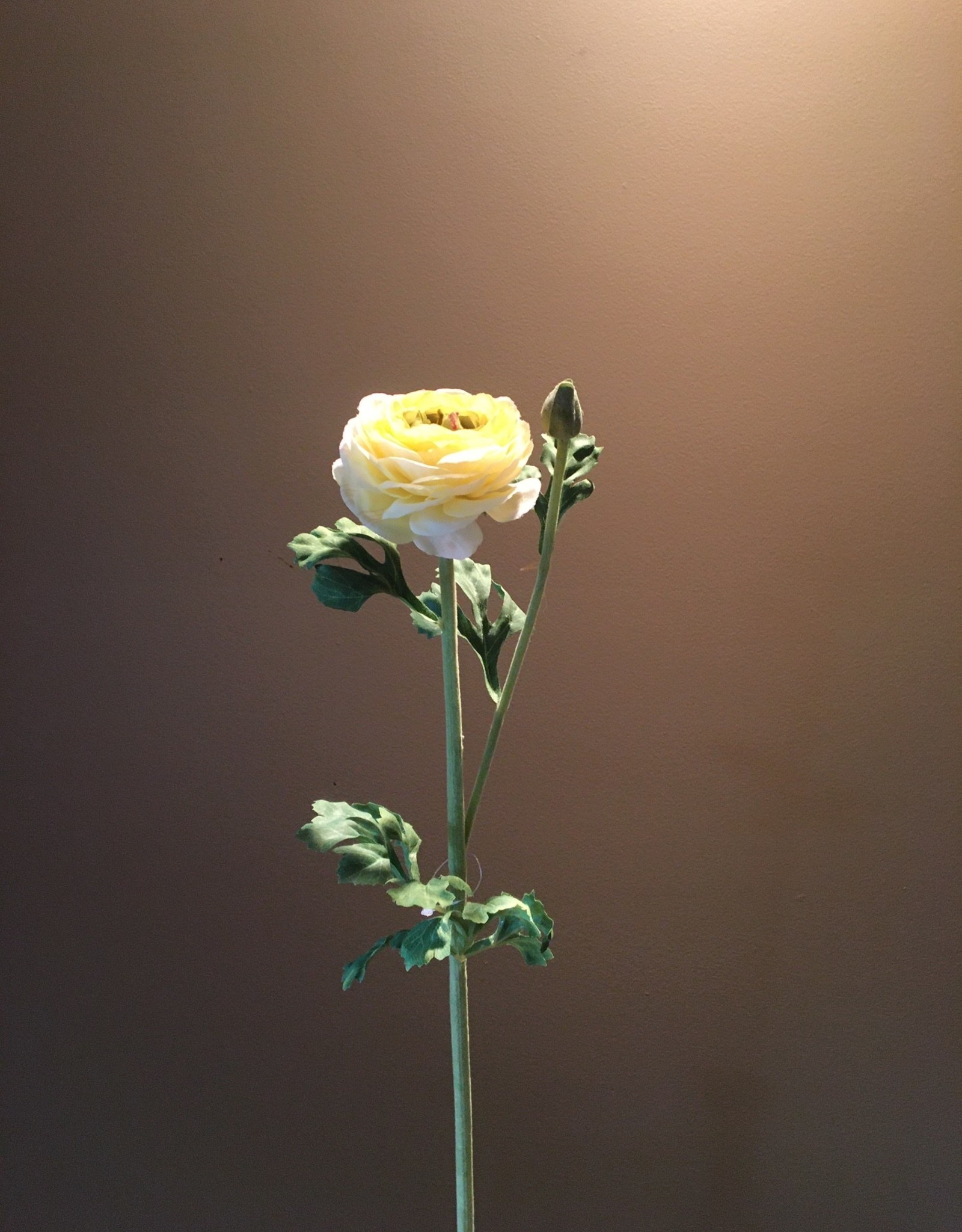 Ranunculus Stem - Yellow - 27"