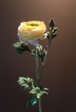 Ranunculus Stem - Yellow - 27"