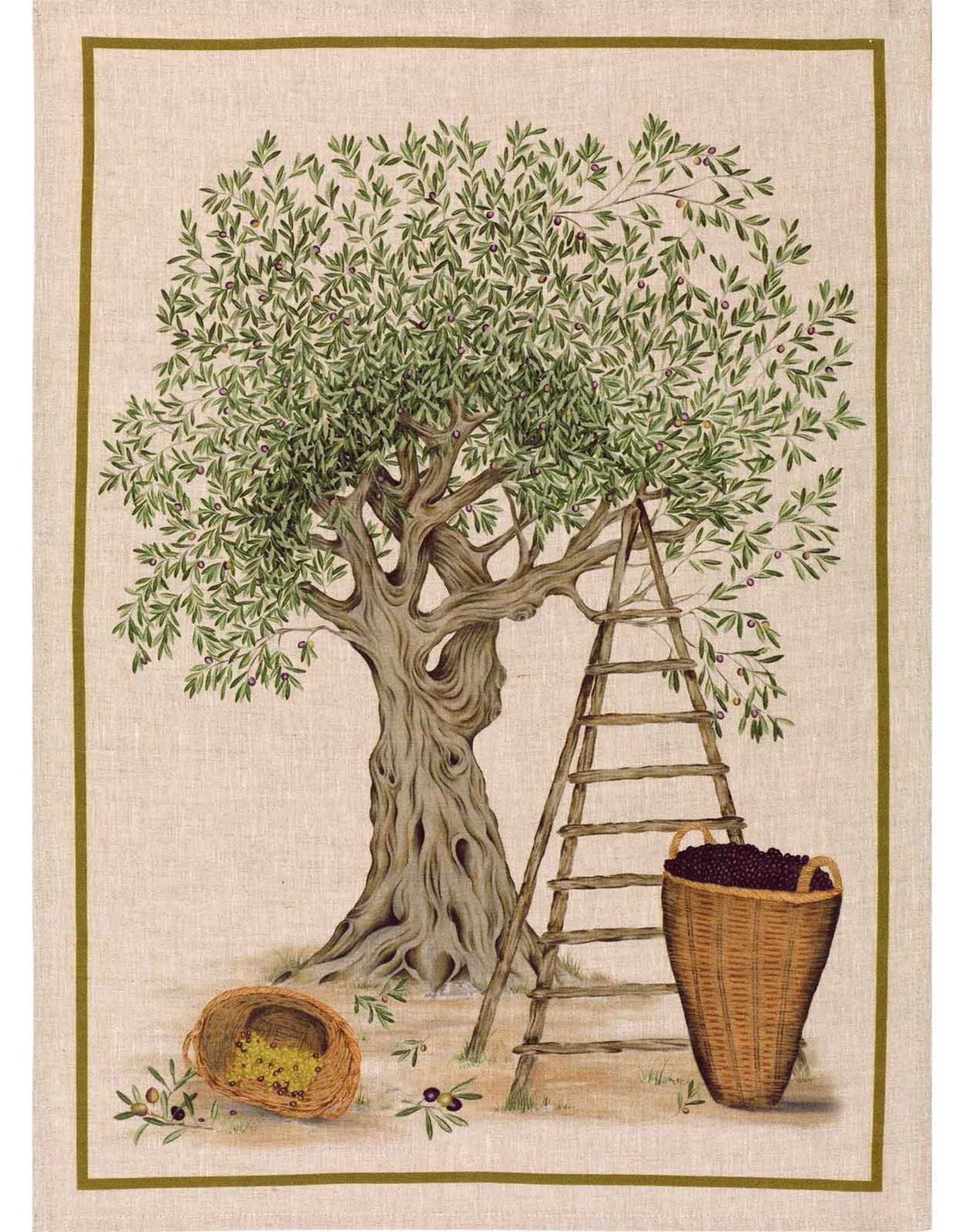 Italian Linen - DOP-Verde Kitchen Towel - 20" x 28"