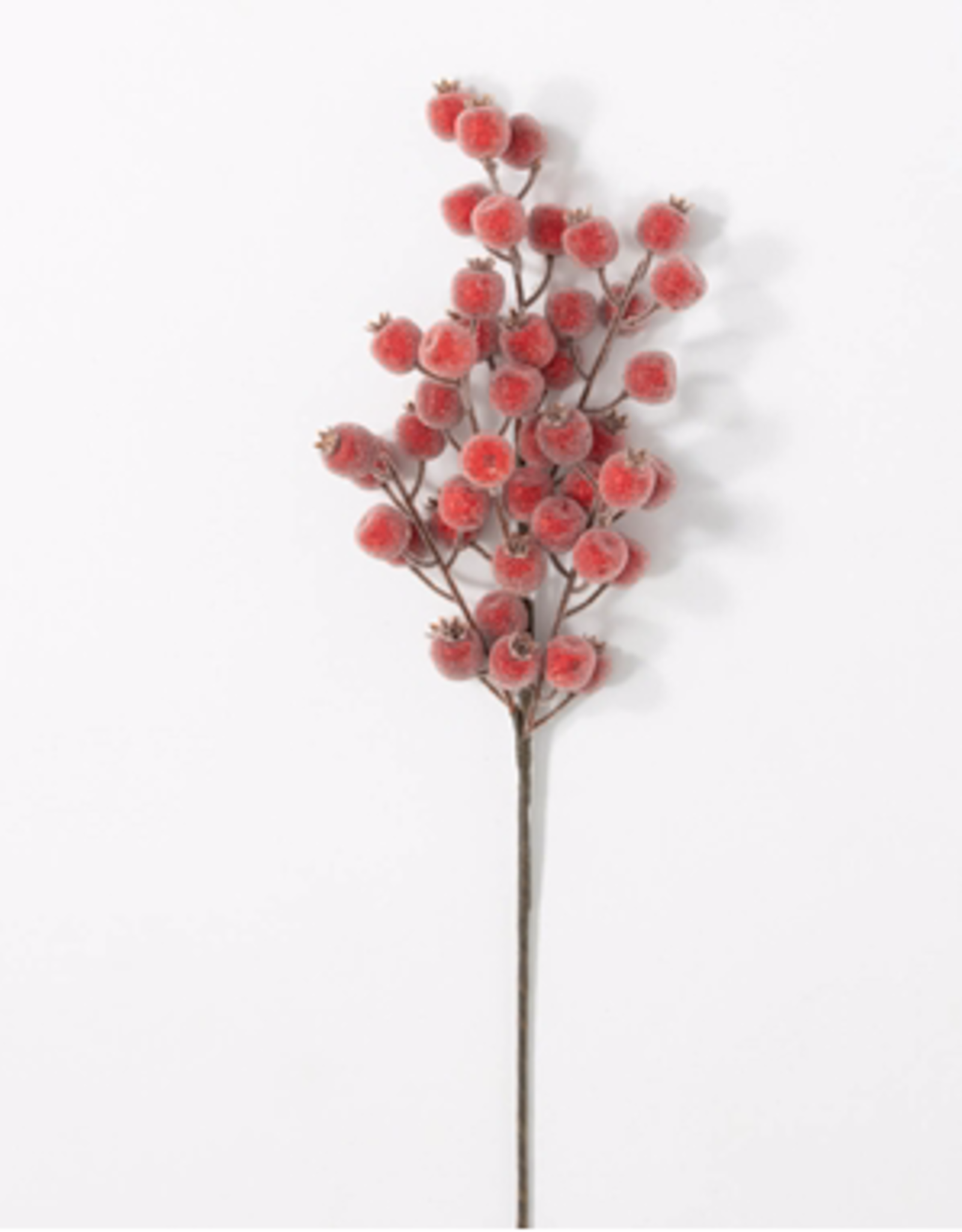 Red Frosted Berry Spray 24.5" (Large Berry)