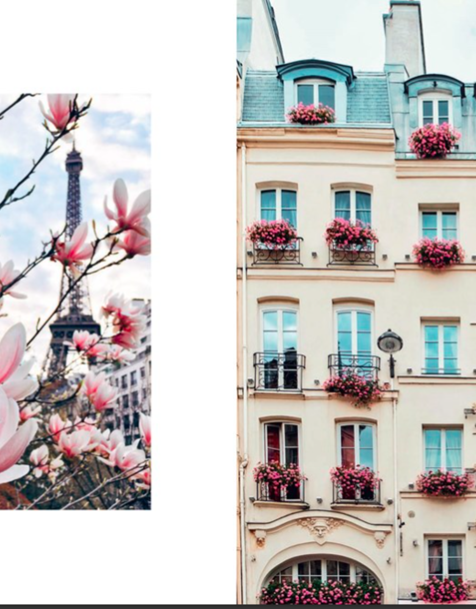 In Love with Paris By Anne-Katrin Weber