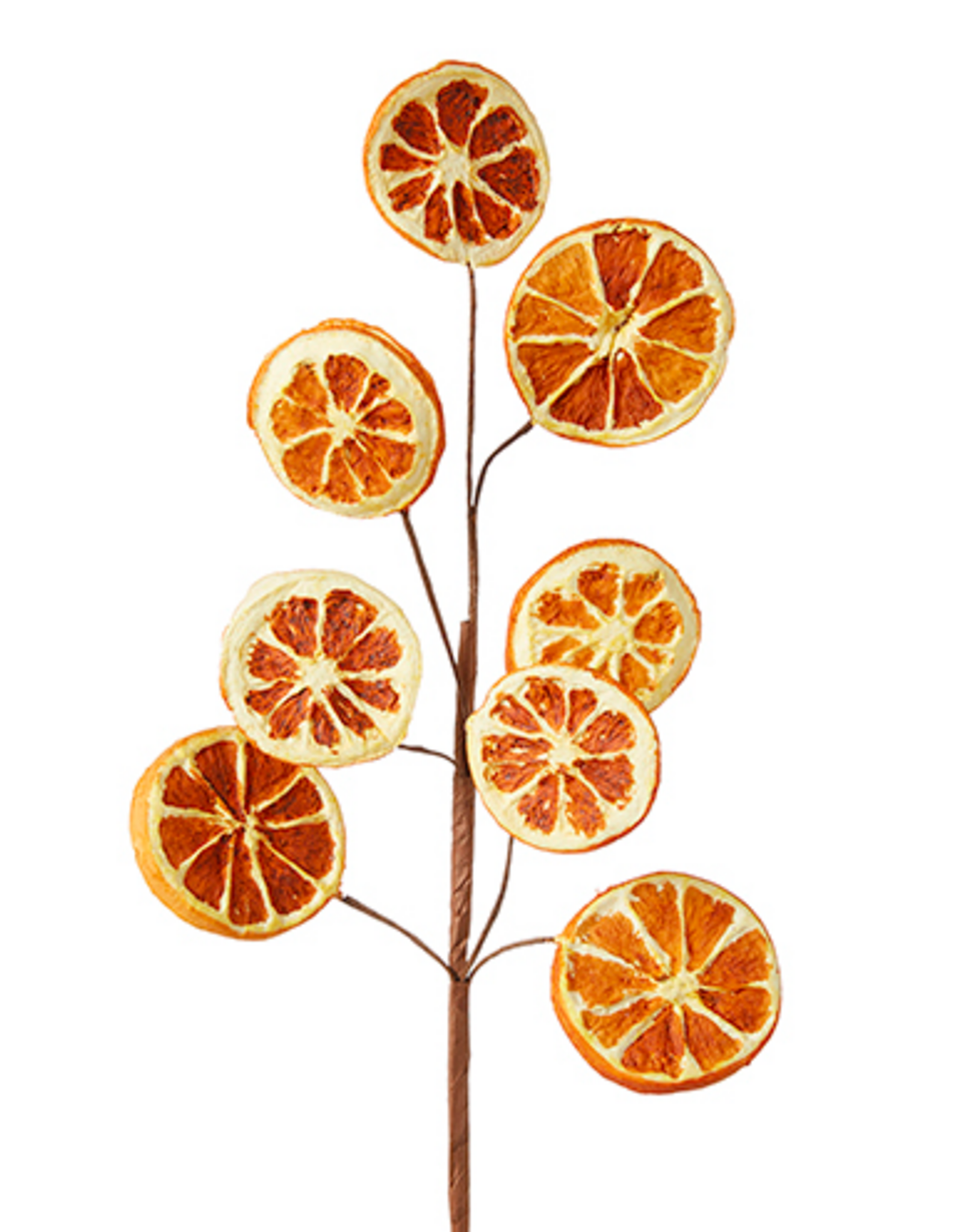 Orange Slice Spray 18.5