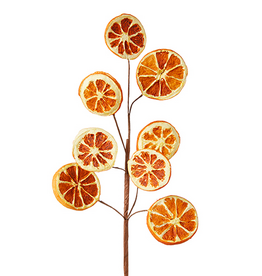 Orange Slice Spray 18.5