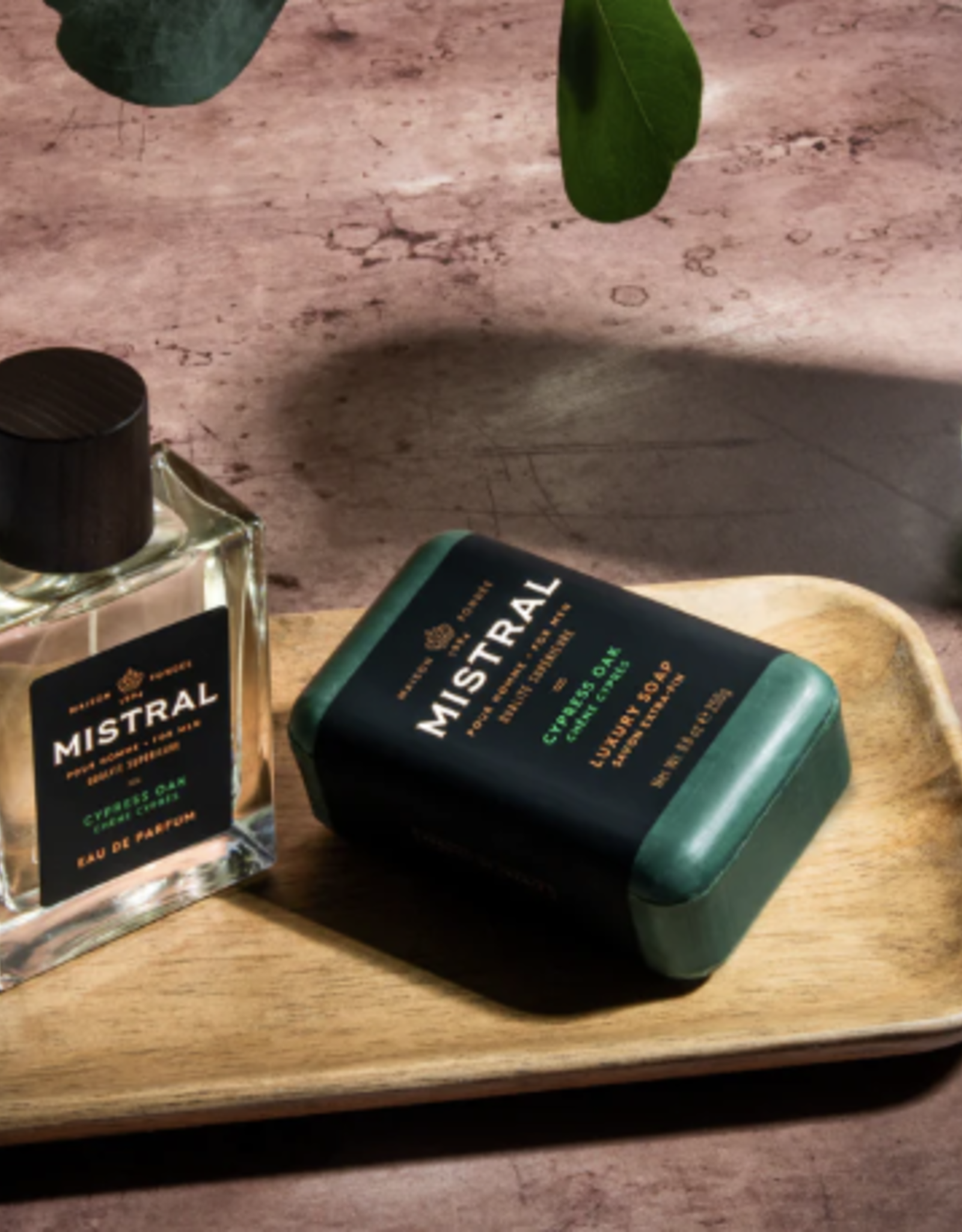 Cypress Oak Cologne - Mistral Men's Collection 100 ml