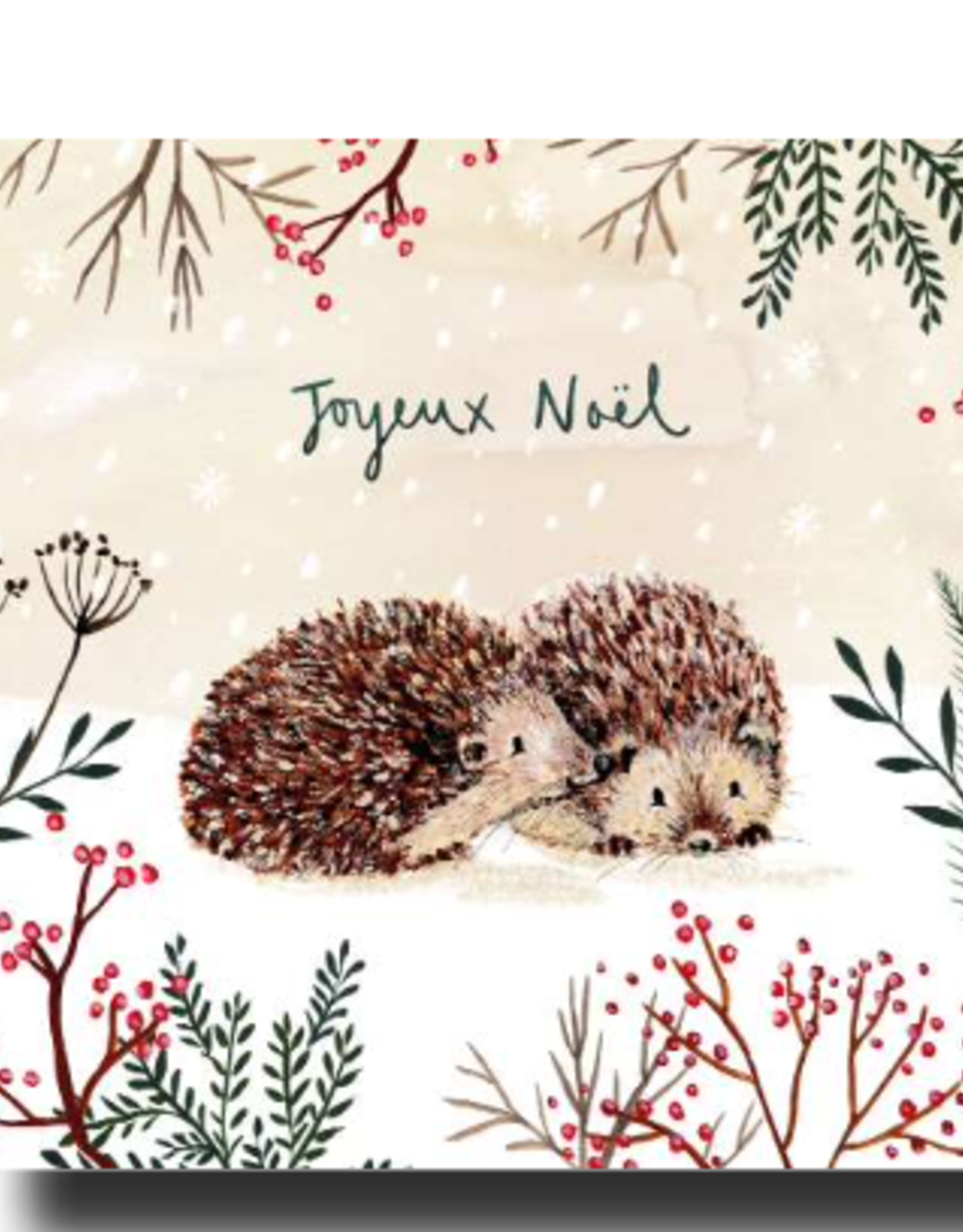 Louise Mulgrew Winter Hedgehog Greeting Card 6" x 6"