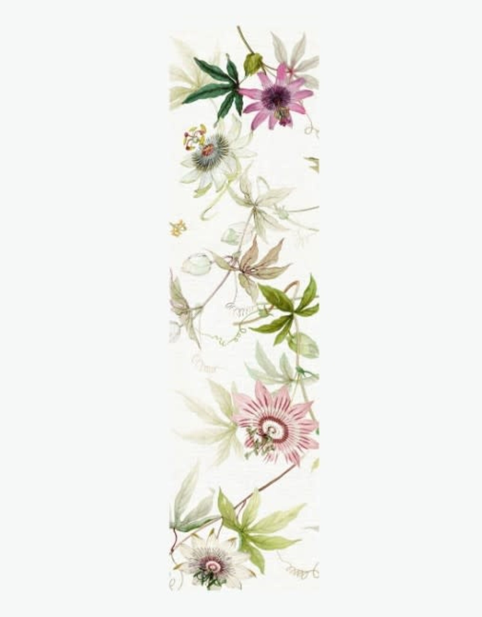 Italian Linen - Granadilla Table Runner 18" x 67"