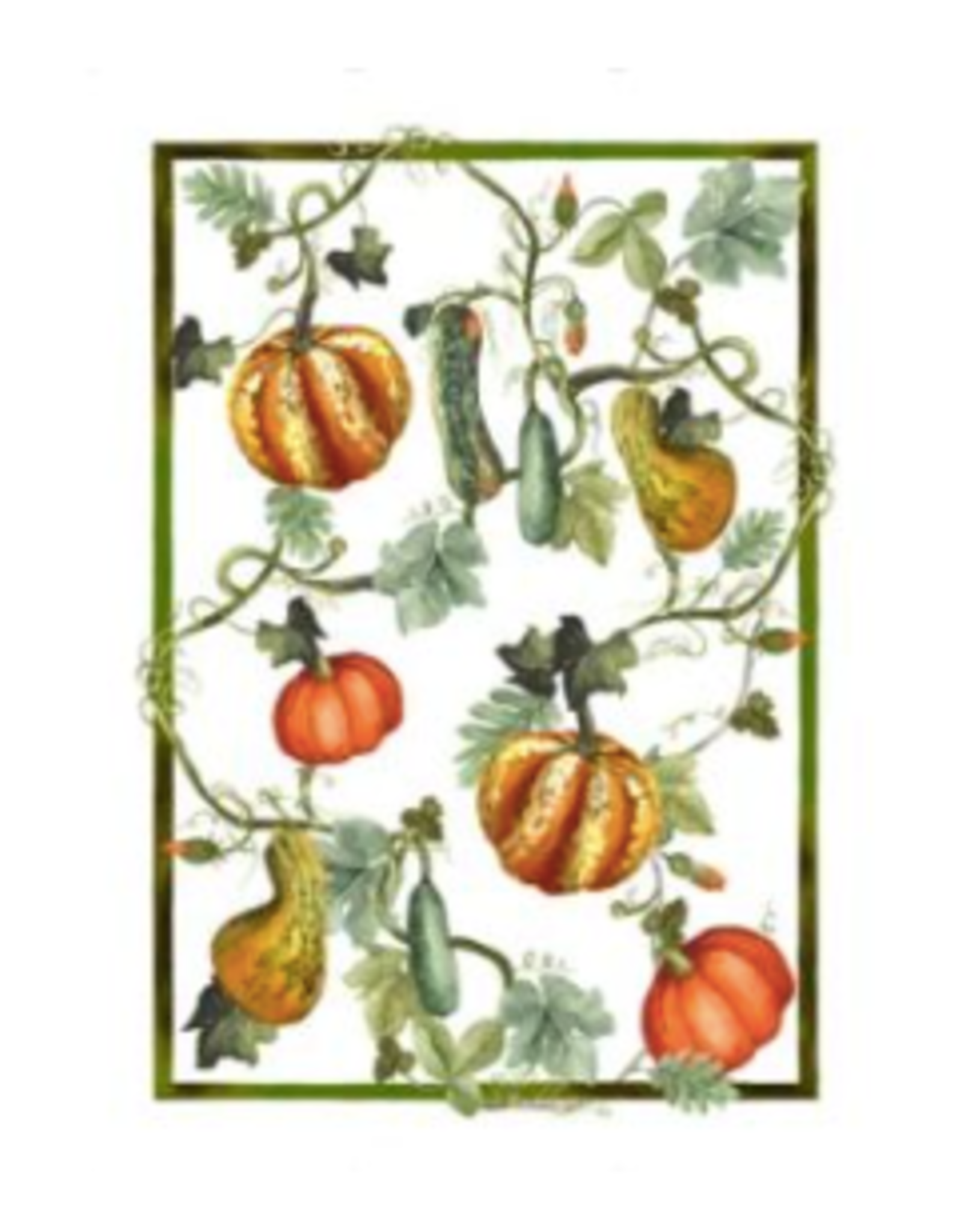 Italian Linen - Kurbis Zucche Kitchen Towel 20" x 28" Cream