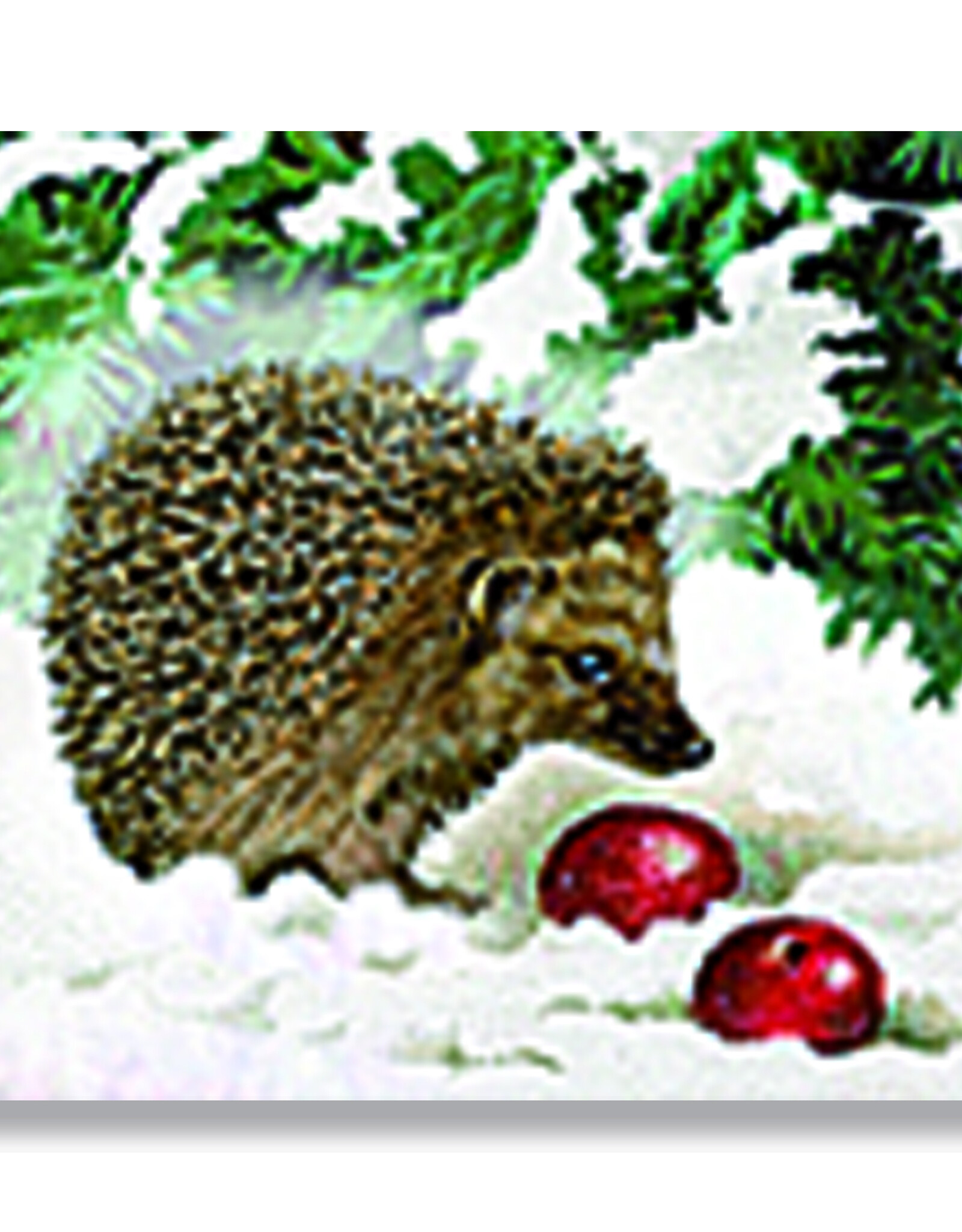 Alison Gardiner Coppenrath Festive Farm Advent Calendar 11.69" x 8.27"