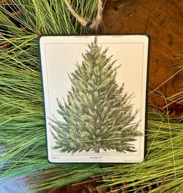 Balsam Fir Tree  Ornament 5.5"